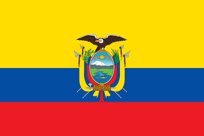 Country flag