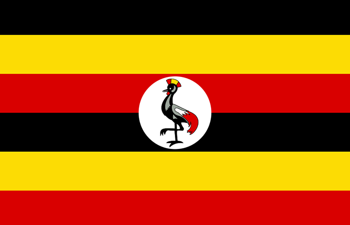 Country flag